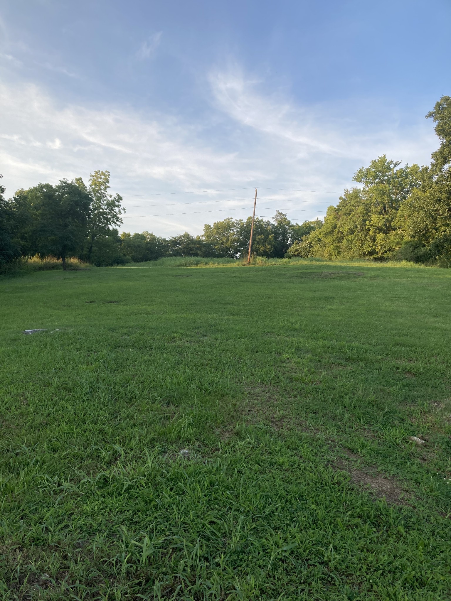 312 East Grigsby Street Pulaski, TN 38478 - Photo 4 of 12