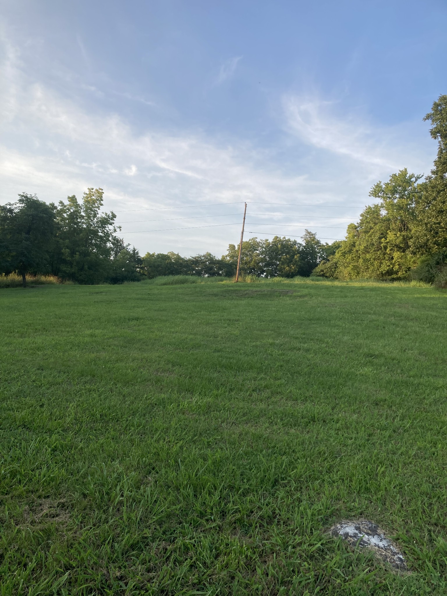 312 East Grigsby Street Pulaski, TN 38478 - Photo 5 of 12