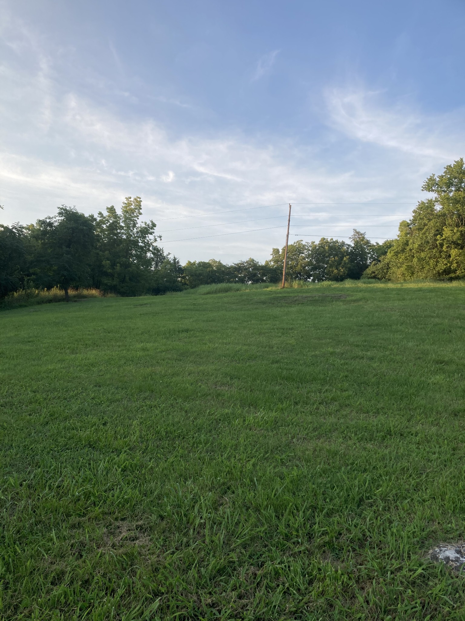 312 East Grigsby Street Pulaski, TN 38478 - Photo 6 of 12