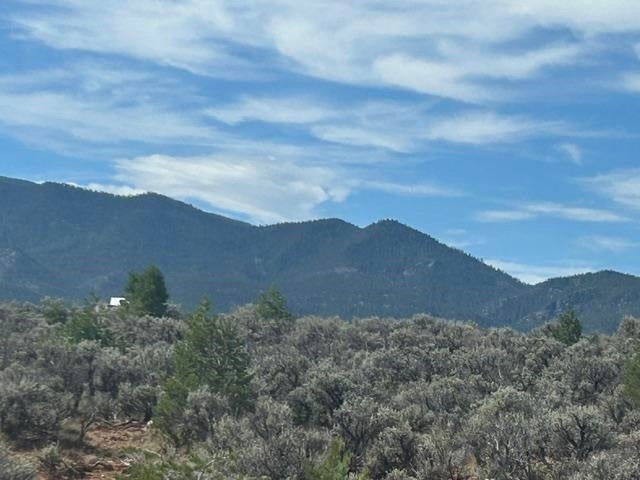 110 Off County Road Ranchos de Taos, NM 87557 - Photo 3 of 9 Gallery Image 3