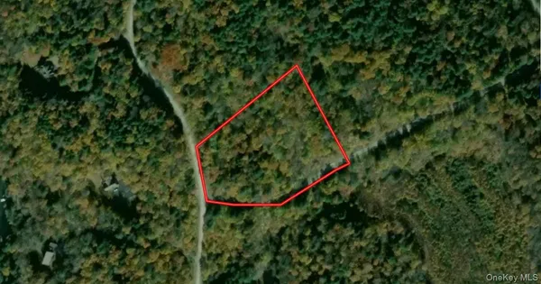 $66,900 | 0 Kenoza Trail, Cochecton, NY 12750