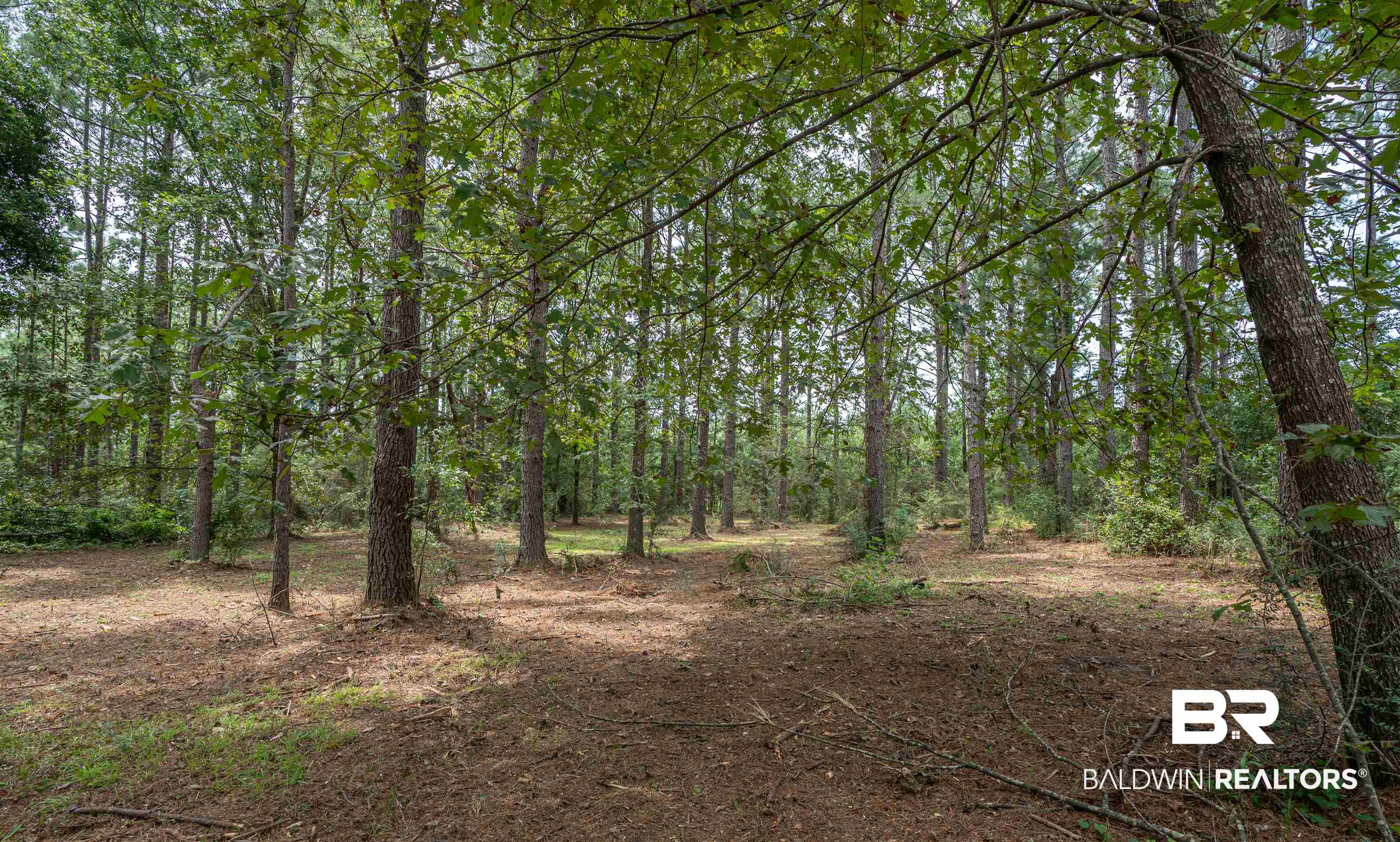 23439 Patterson Road Robertsdale, AL 36567 - Photo 4 of 17
