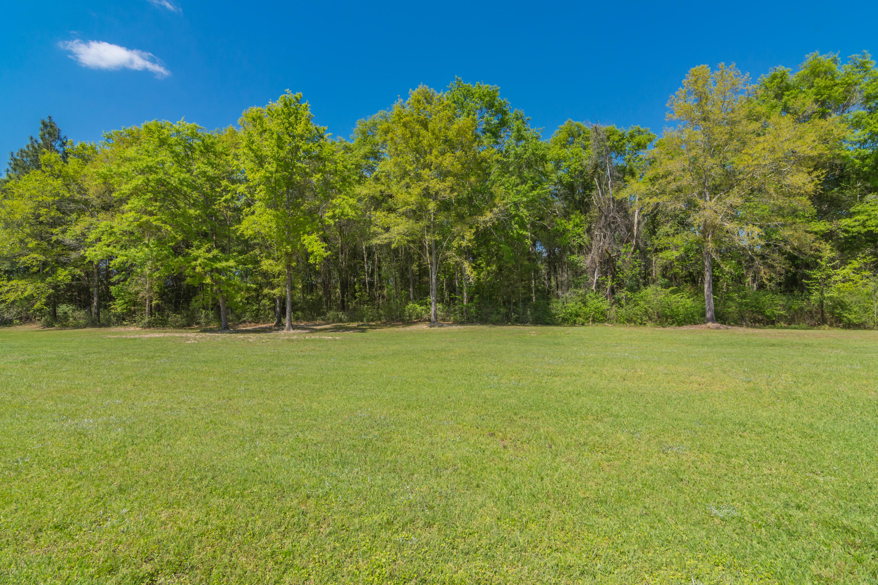410 Perkins Road Laurel Hill, FL 32567 - Photo 28 of 44 410 Perkins Rd Exterior-6