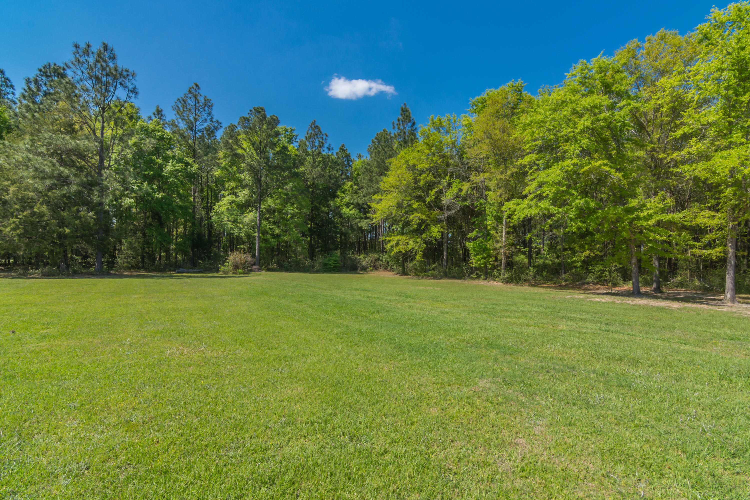 410 Perkins Road Laurel Hill, FL 32567 - Photo 42 of 44 410 Perkins Rd Exterior-8
