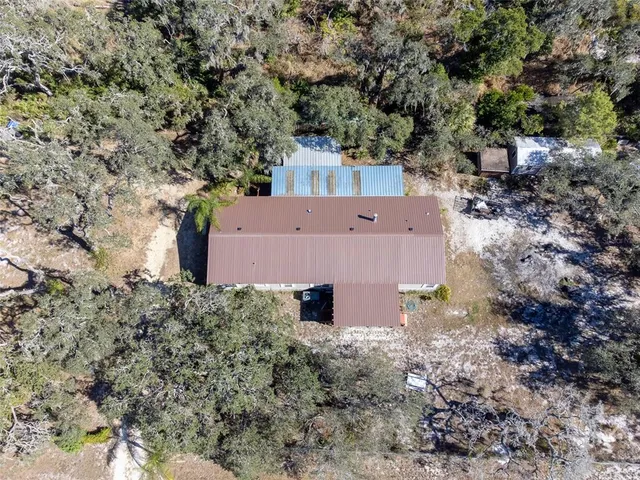 a view of a city with flower plants