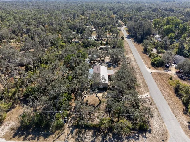 a view of a forest with a street