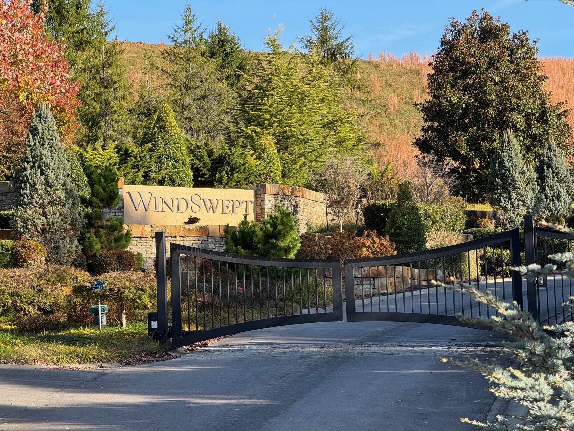 0 Waterview Way Morristown, TN 37814 - Photo 16 of 17 a view of street along with trees