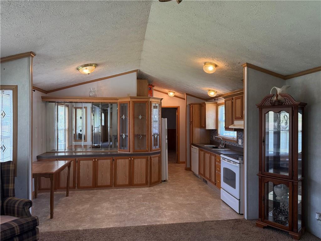 40 Mobile Road Washington, PA 15301 - Photo 3 of 23 Kitchen