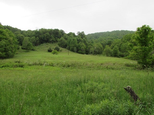 Tbd Flat Ridge Road Troutdale, VA 24378 - Photo 9 of 26 Gallery Image 9