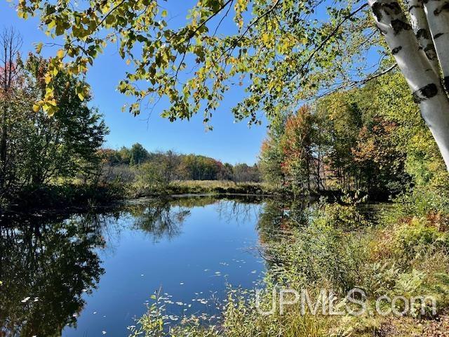 25307 Dover Road Calumet, MI 49913 - Photo 23 of 47