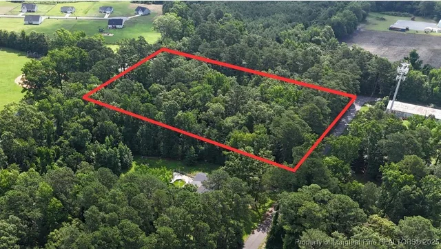 a view of a park with large trees and plants