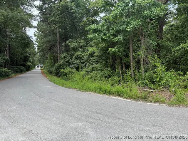 a view of a road with plants and trees beside of it