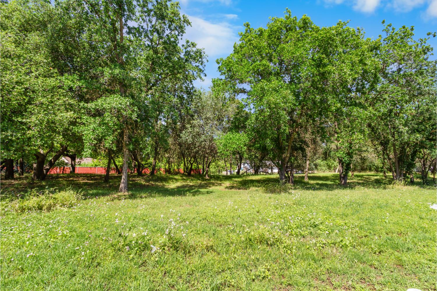 6404 Sylvan Road Citrus Heights, CA 95610 - Photo 18 of 20 a backyard of a house with a yard and outdoor seating