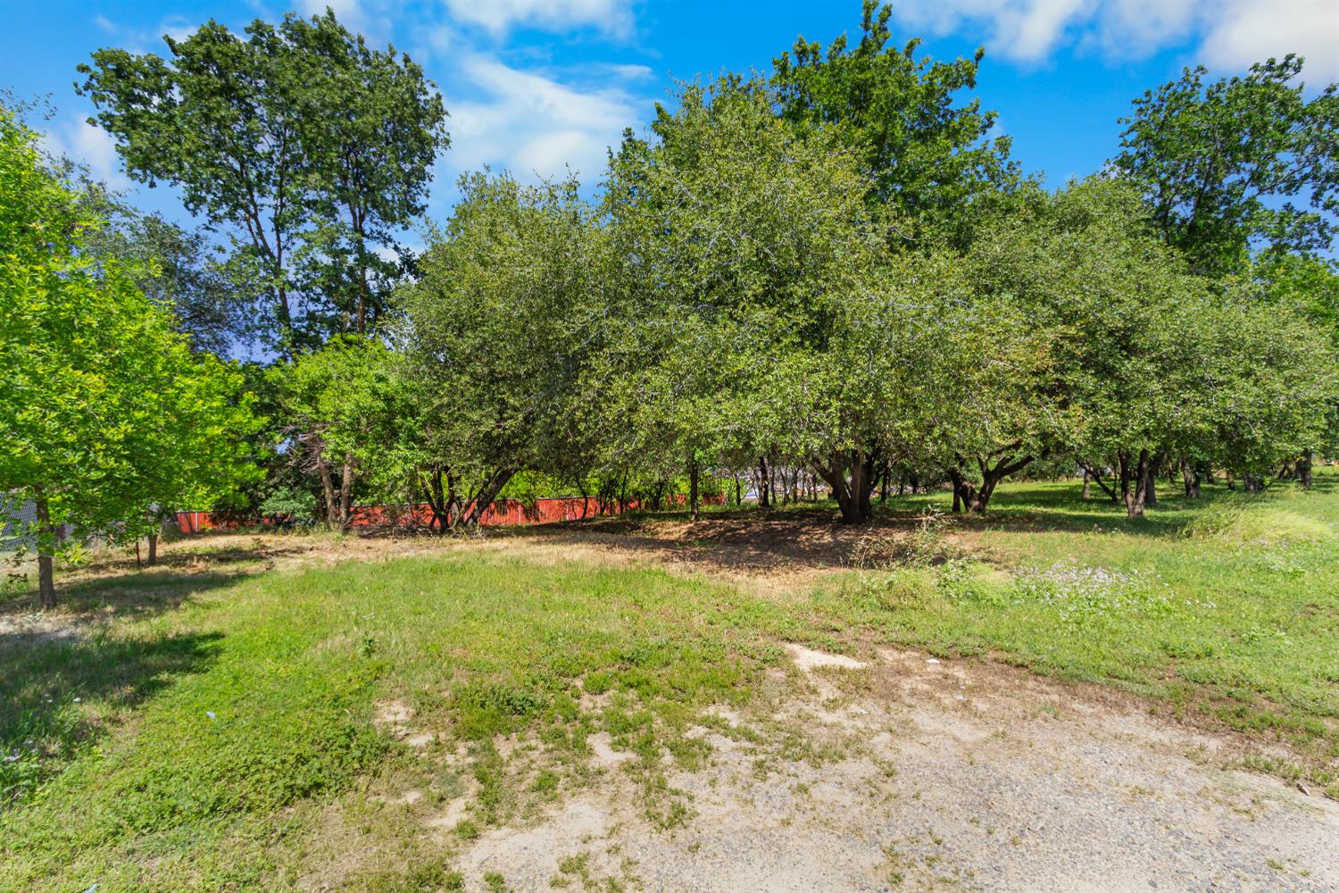 6404 Sylvan Road Citrus Heights, CA 95610 - Photo 19 of 20 a view of a field with plants and trees