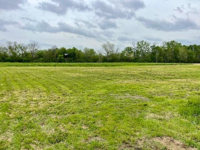 7521 Coliseum Boulevard Alexandria, LA 71303 - Photo 3 of 5