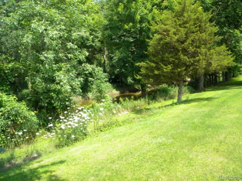 12988 Yale Road Yale, MI 48097 - Photo 26 of 29 This is view 1 of the creek.