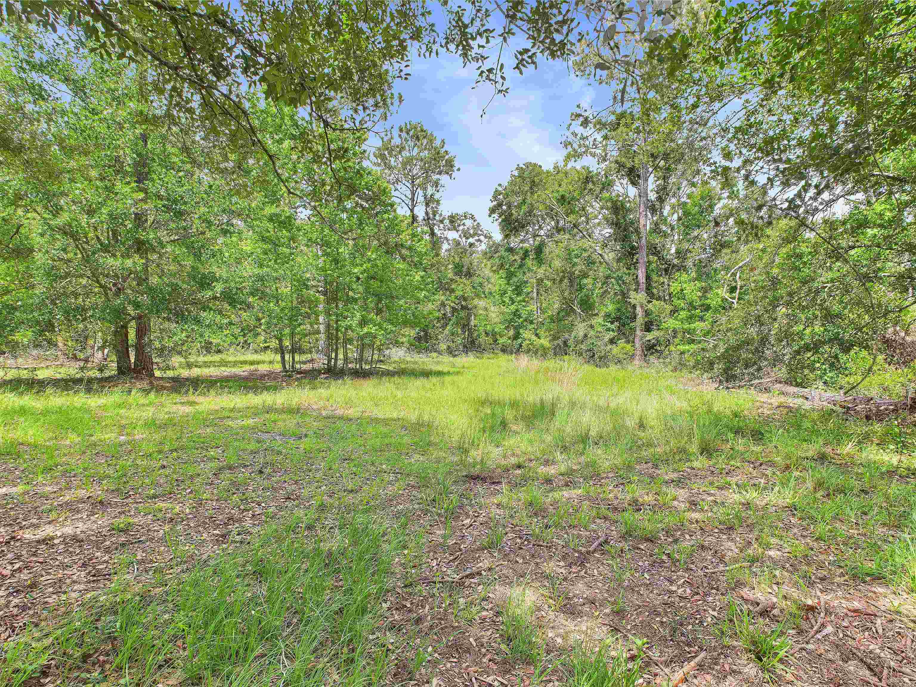 0 Beach Road Perry, FL 32348 - Photo 2 of 15 Gallery Image 2