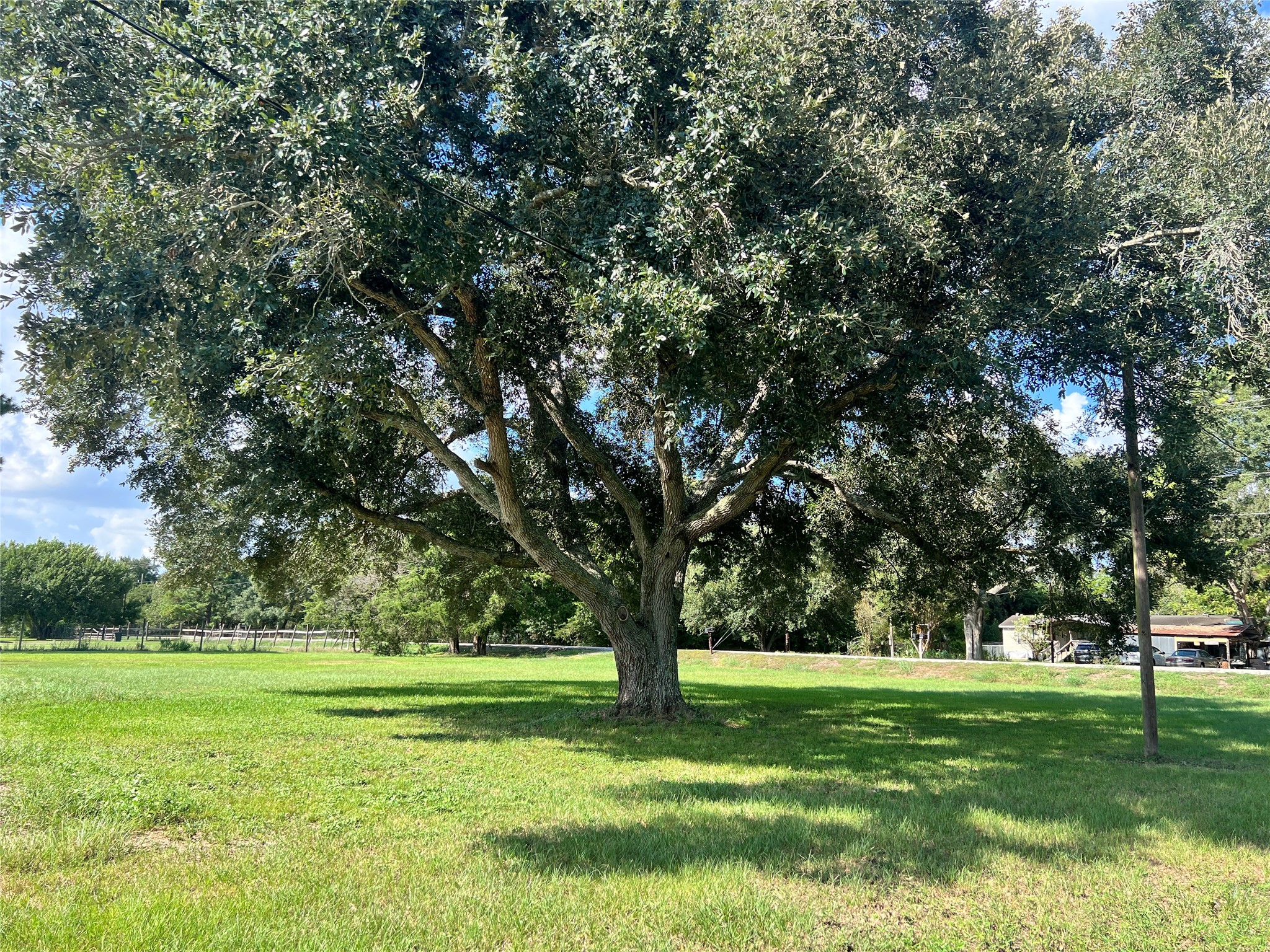 10234 Oberrender Road Needville, TX 77461 - Photo 11 of 14 Gallery Image 11