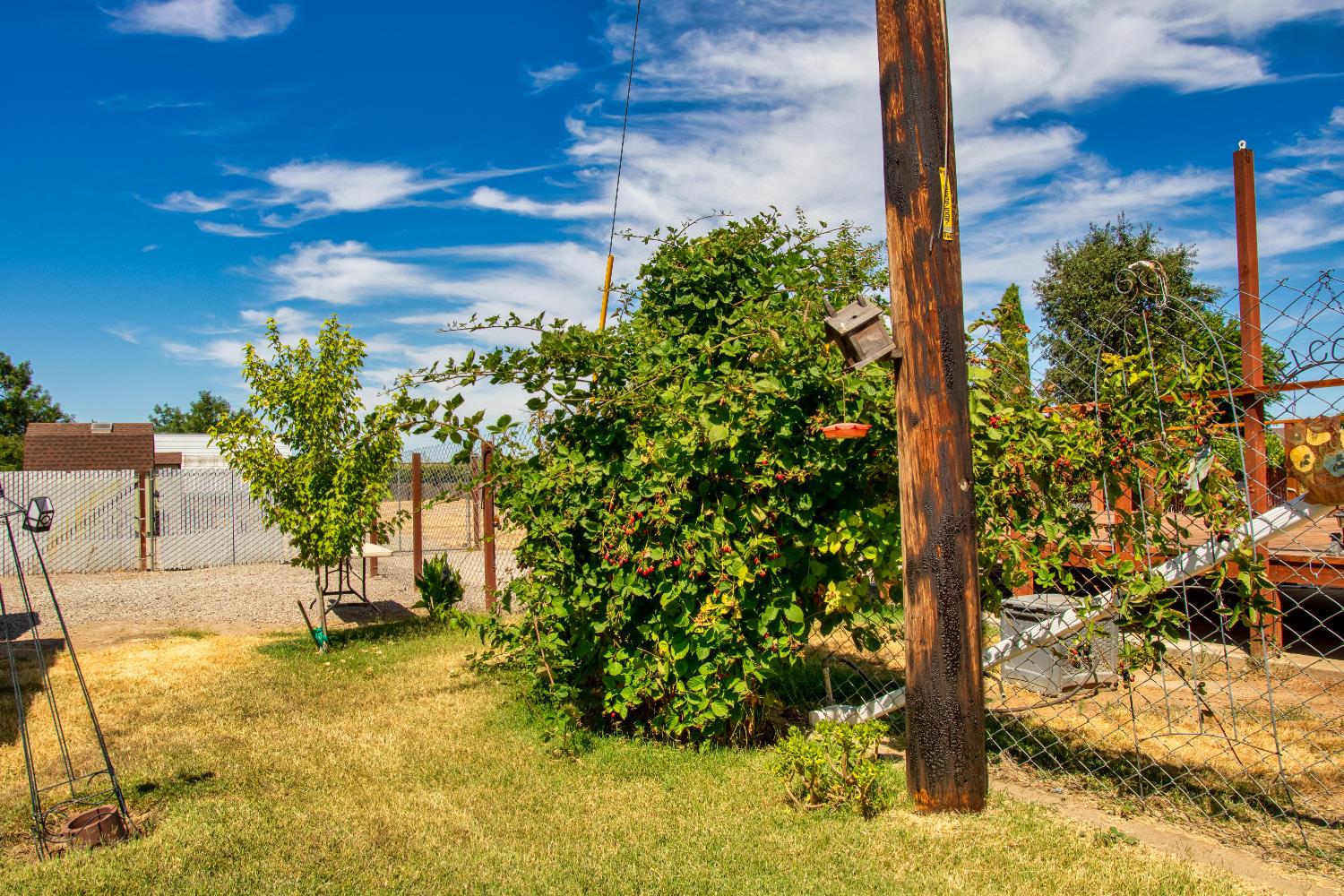 1639 Alpine Road Stockton, CA 95215 - Photo 40 of 96 a view of a backyard