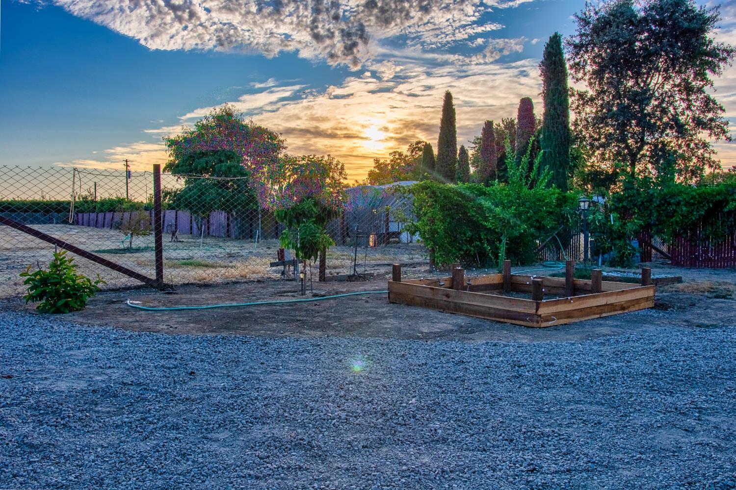 1639 Alpine Road Stockton, CA 95215 - Photo 6 of 96 a view of a backyard with palm tree