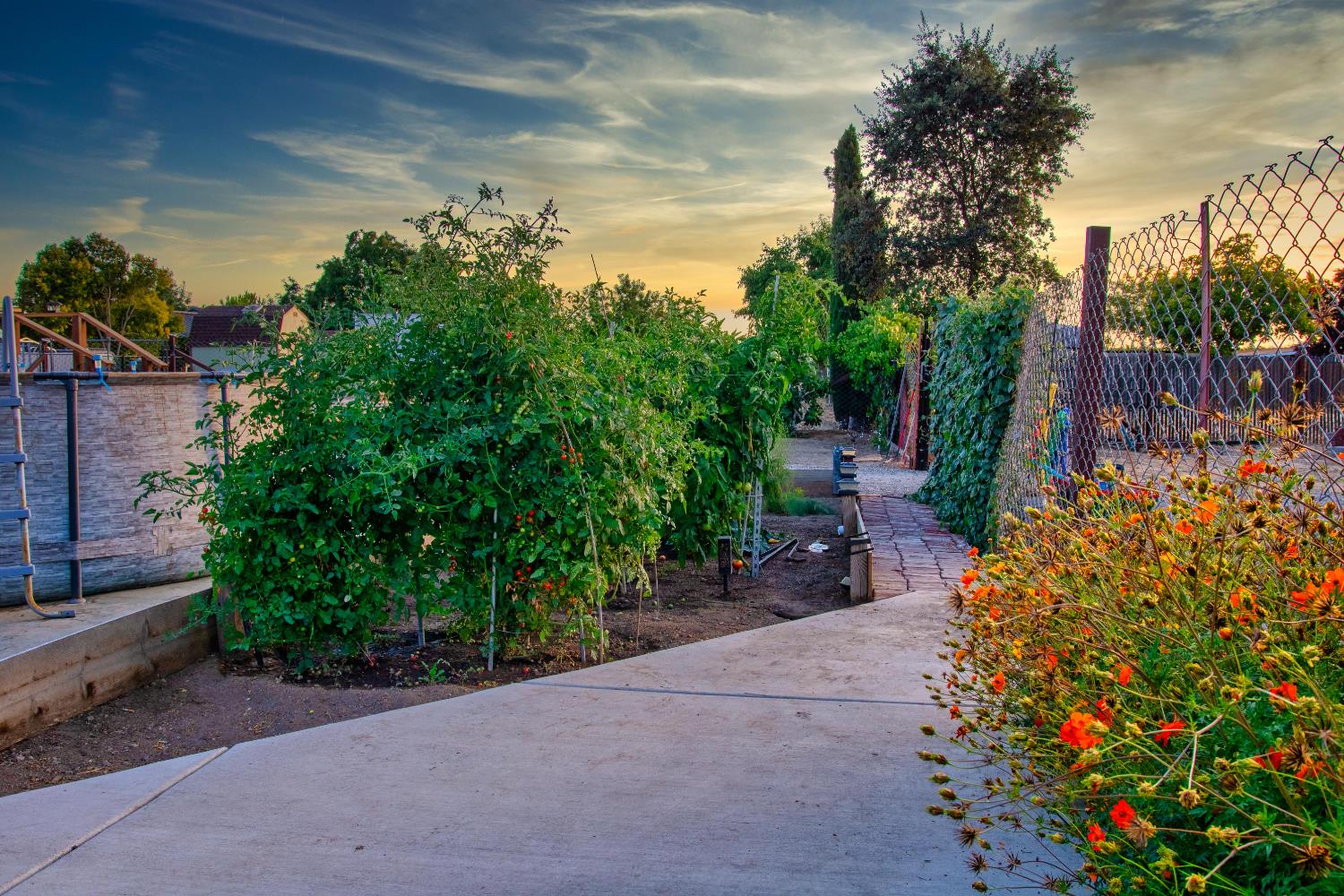 1639 Alpine Road Stockton, CA 95215 - Photo 7 of 96
