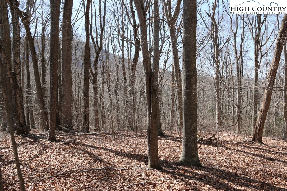 Ed Little Road Warrensville, NC 28693 - Photo 8 of 20 Gallery Image 8