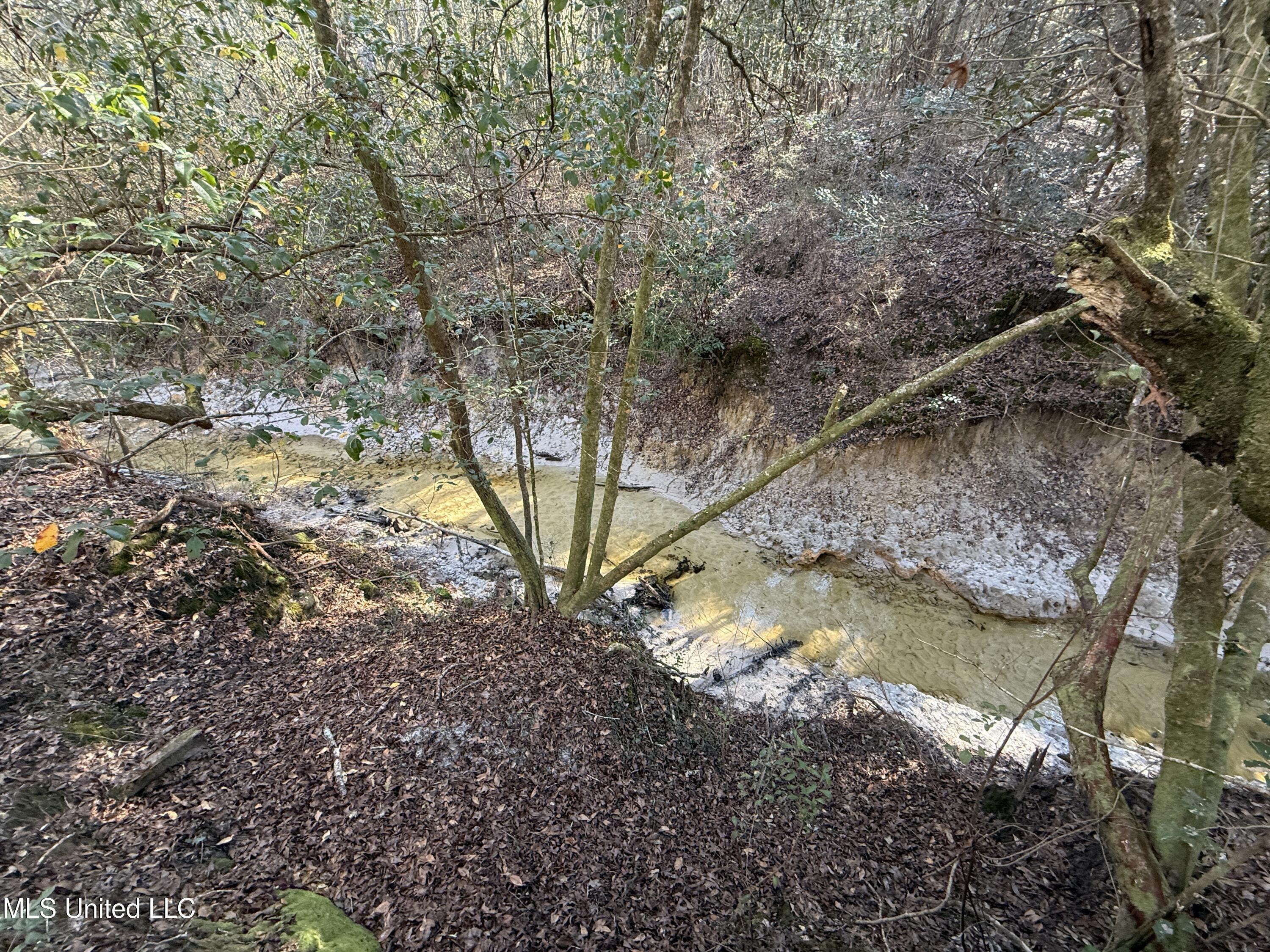 38_Greene_IndianHillRd-8