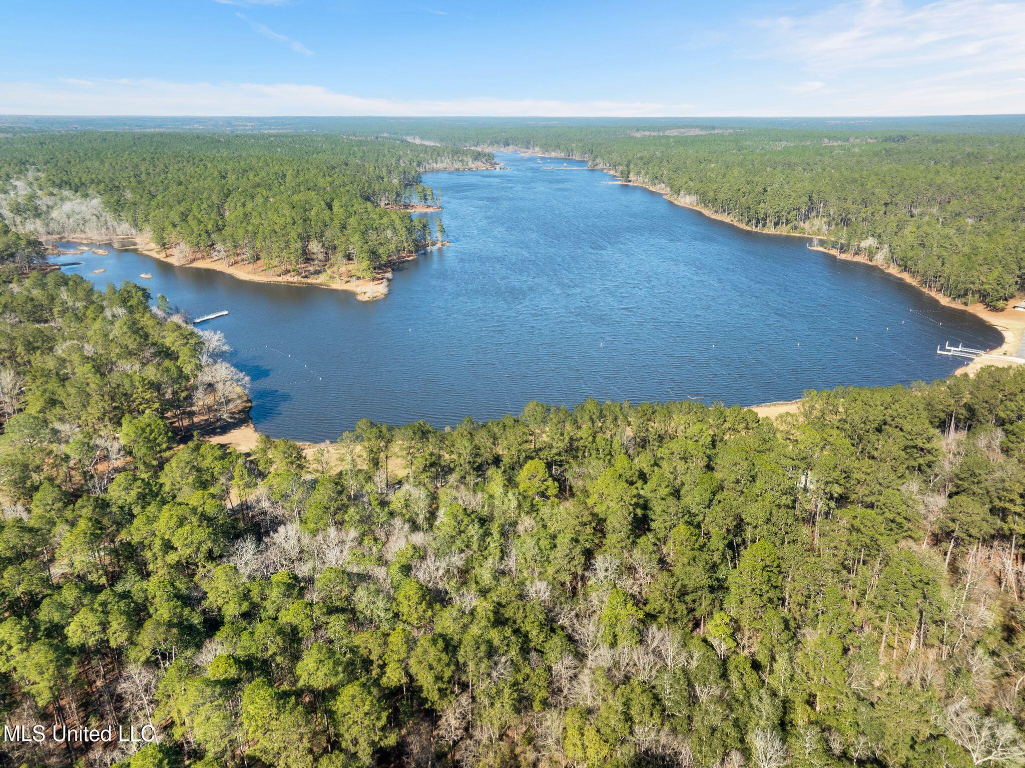 38 Indian Hill Road Richton, MS 39476 - Photo 11 of 25 38_Greene_IndianHillRd-11