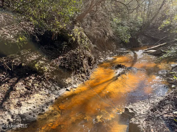 $180,000 | 38 Indian Hill Road, Richton, MS 39476