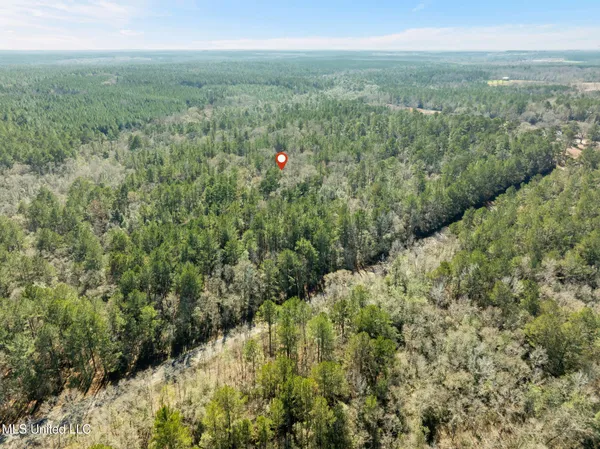 $180,000 | 38 Indian Hill Road, Richton, MS 39476