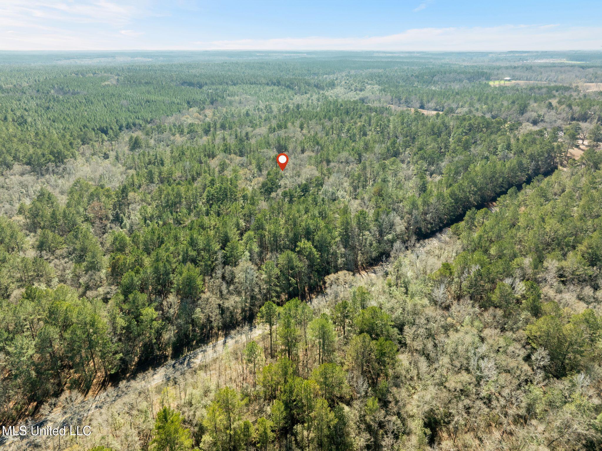 38 Indian Hill Road Richton, MS 39476 - Photo 13 of 25 38_Greene_IndianHillRd-13