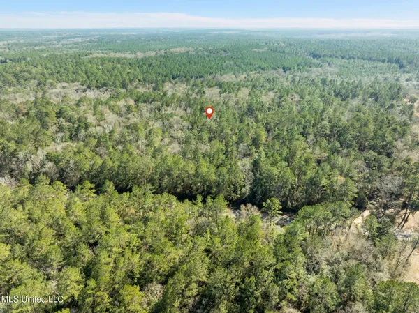 $180,000 | 38 Indian Hill Road, Richton, MS 39476