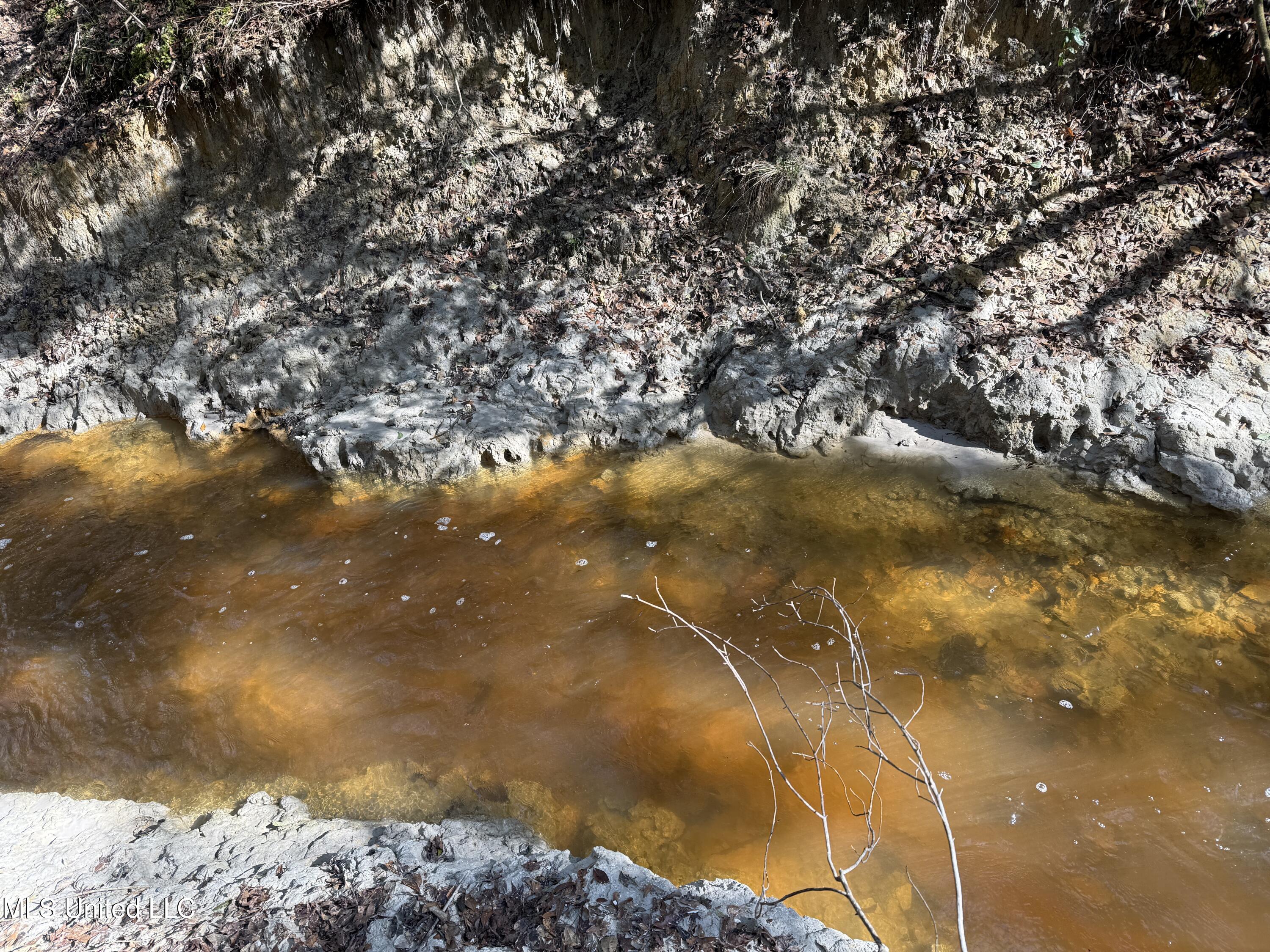38 Indian Hill Road Richton, MS 39476 - Photo 17 of 25 38_Greene_IndianHillRd-17