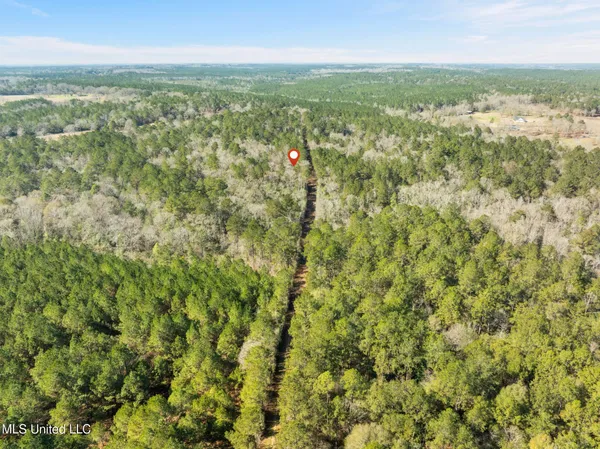 $180,000 | 38 Indian Hill Road, Richton, MS 39476