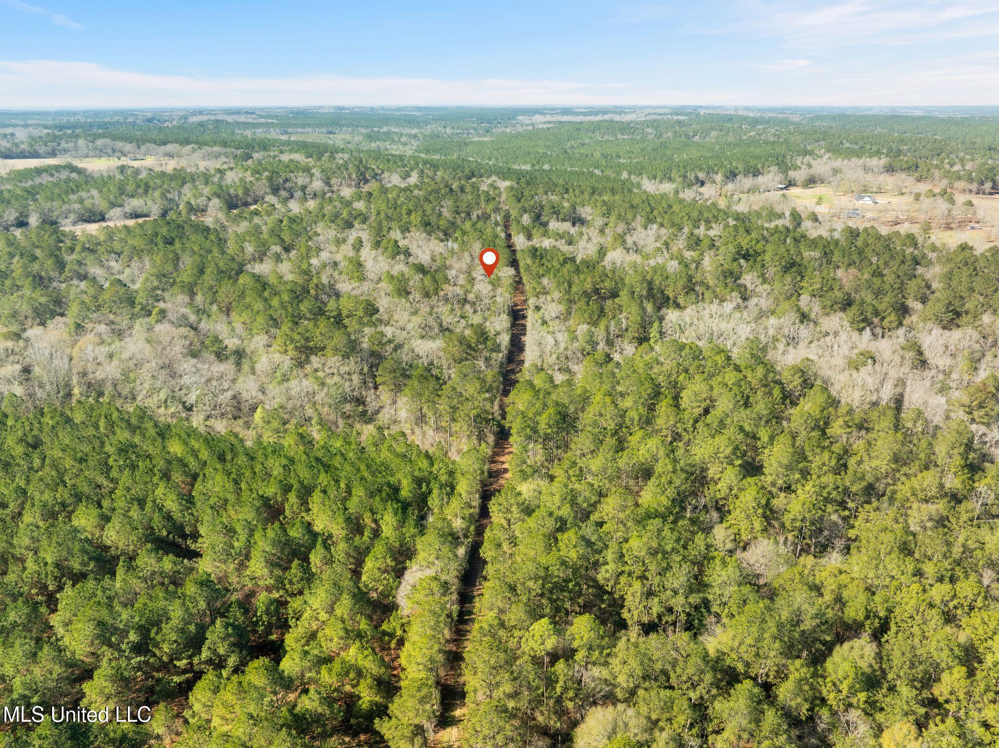 38 Indian Hill Road Richton, MS 39476 - Photo 18 of 25 38_Greene_IndianHillRd-18