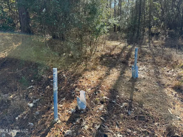 $180,000 | 38 Indian Hill Road, Richton, MS 39476