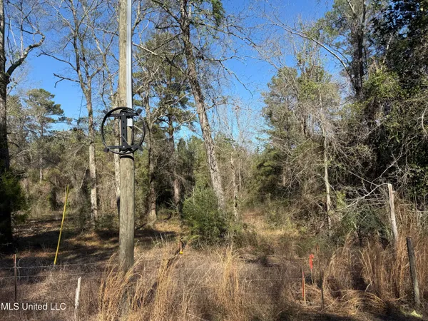 $180,000 | 38 Indian Hill Road, Richton, MS 39476