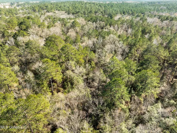 $180,000 | 38 Indian Hill Road, Richton, MS 39476