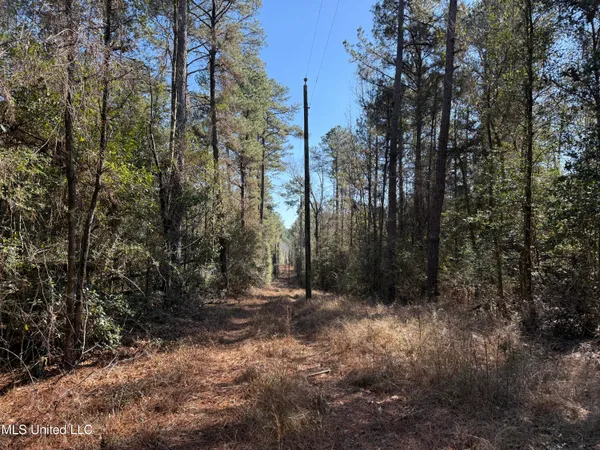 $180,000 | 38 Indian Hill Road, Richton, MS 39476