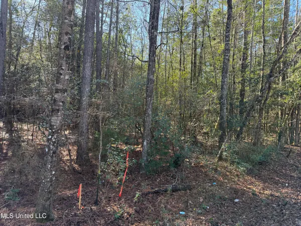 $180,000 | 38 Indian Hill Road, Richton, MS 39476