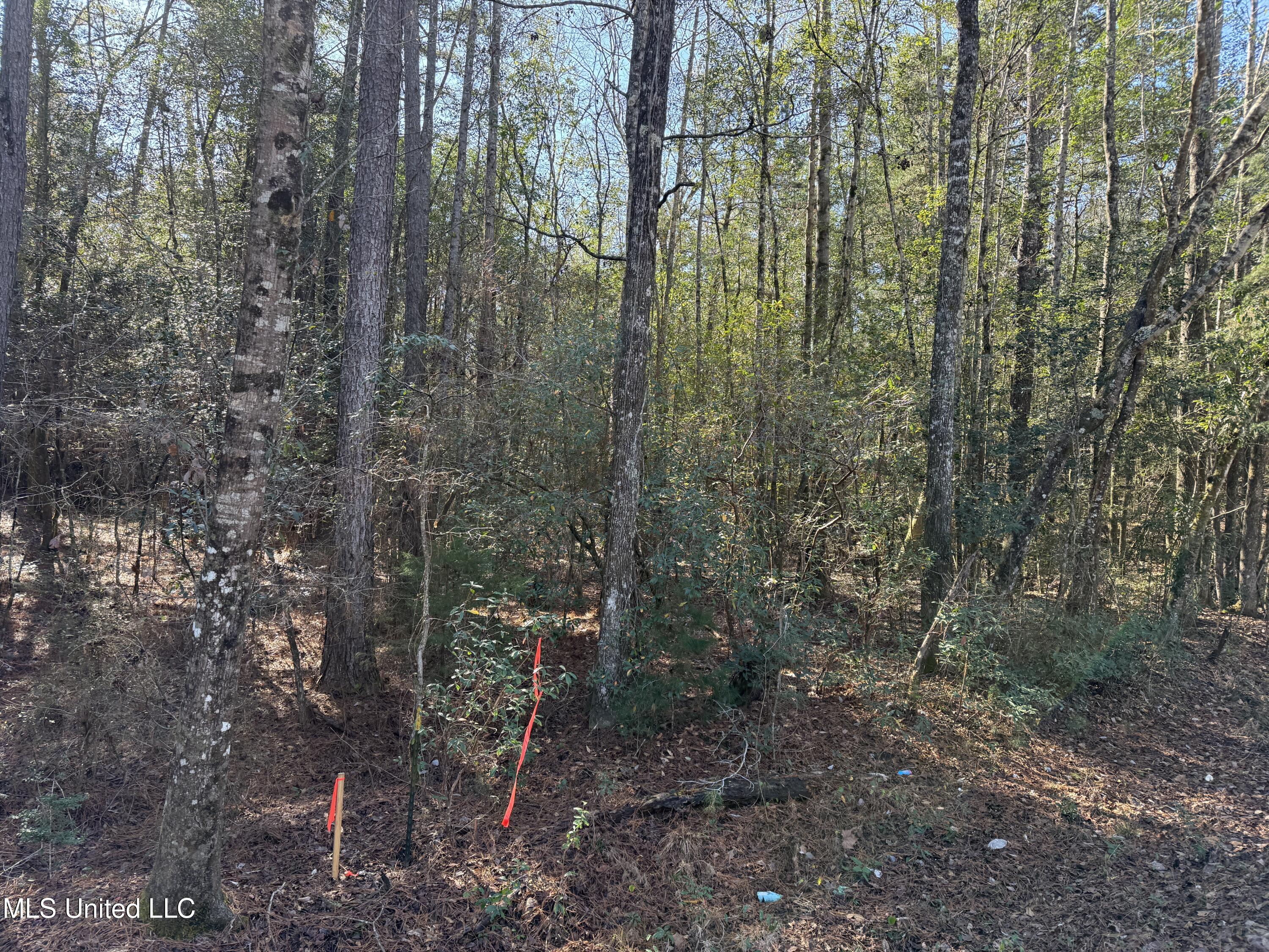 38 Indian Hill Road Richton, MS 39476 - Photo 22 of 25 38_Greene_IndianHillRd-22