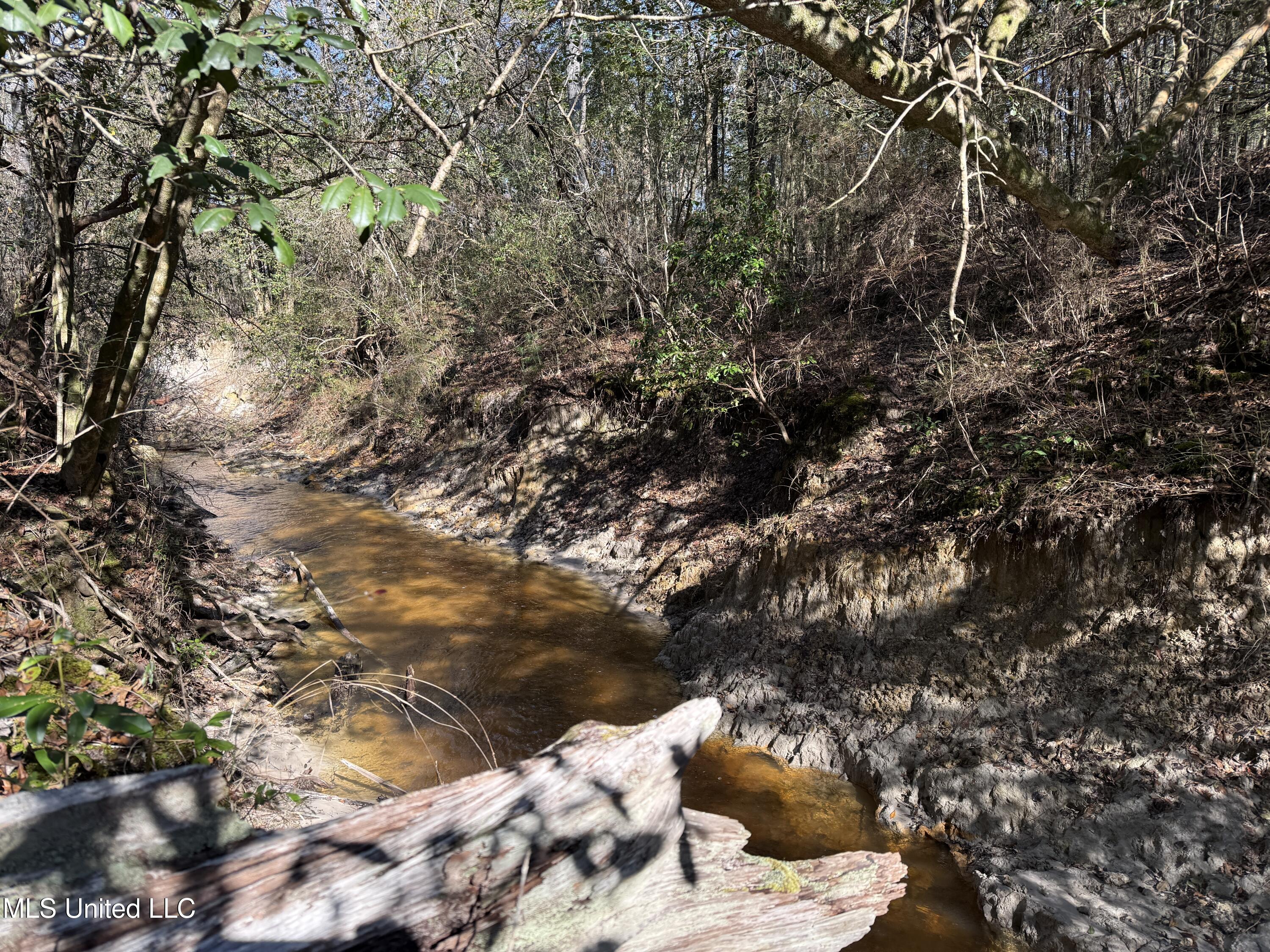 38 Indian Hill Road Richton, MS 39476 - Photo 3 of 25 38_Greene_IndianHillRd-1
