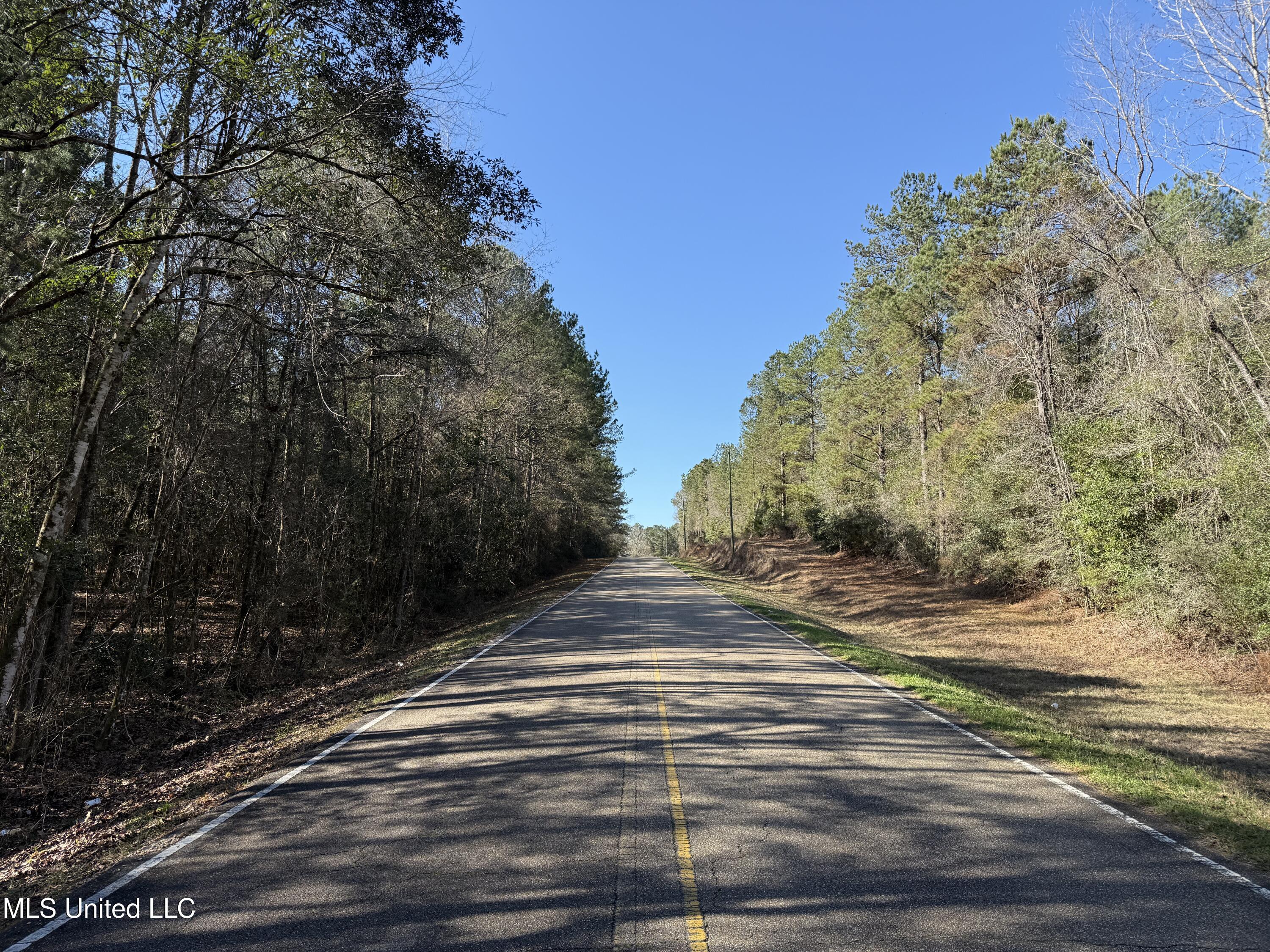 38 Indian Hill Road Richton, MS 39476 - Photo 6 of 25 38_Greene_IndianHillRd-4