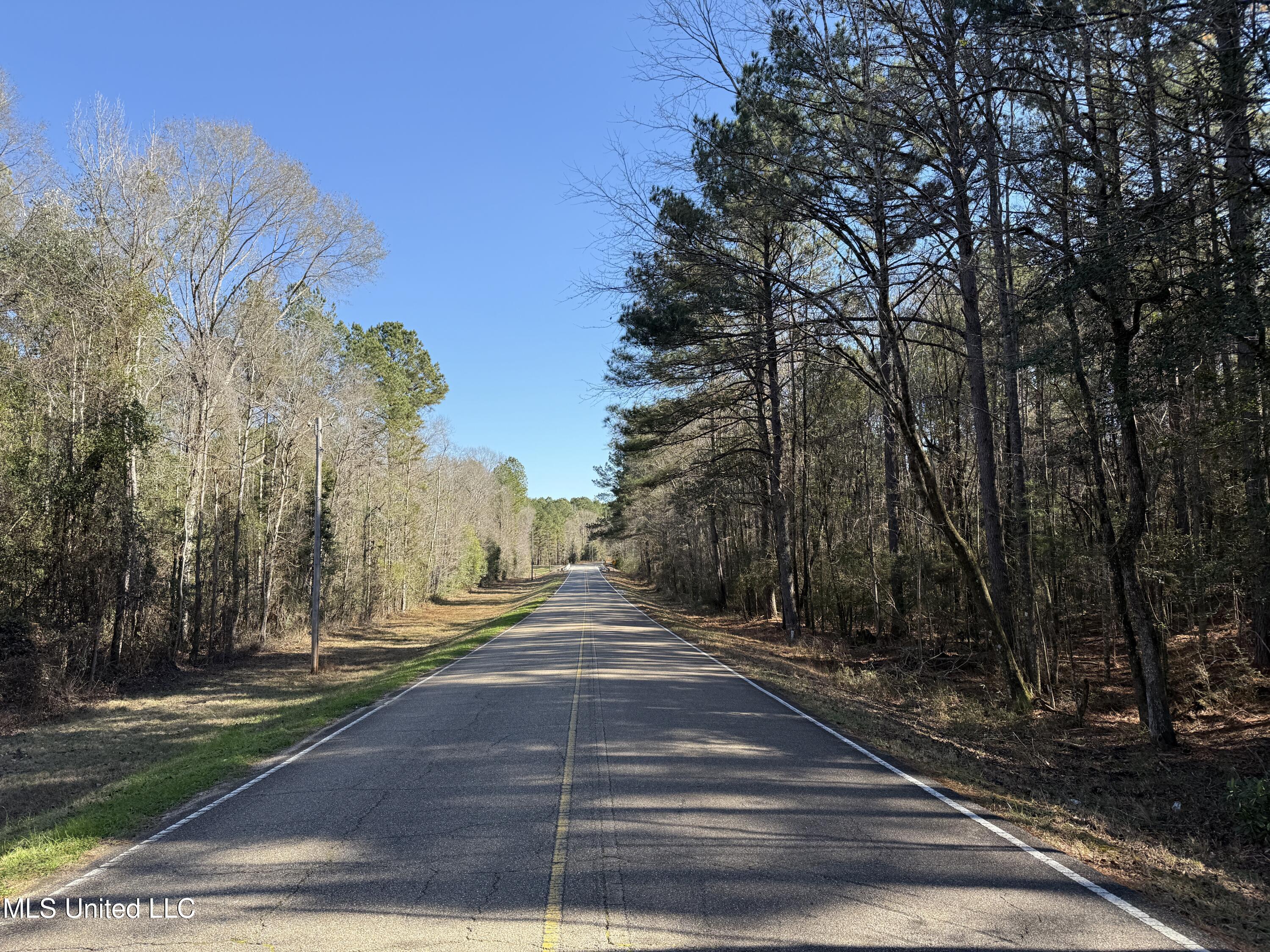 38 Indian Hill Road Richton, MS 39476 - Photo 7 of 25 38_Greene_IndianHillRd-5