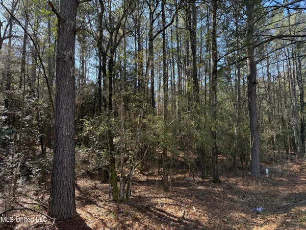 $180,000 | 38 Indian Hill Road, Richton, MS 39476