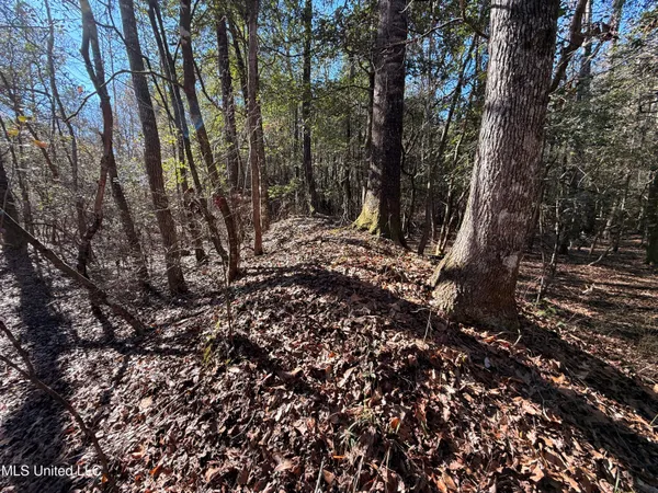 $180,000 | 38 Indian Hill Road, Richton, MS 39476