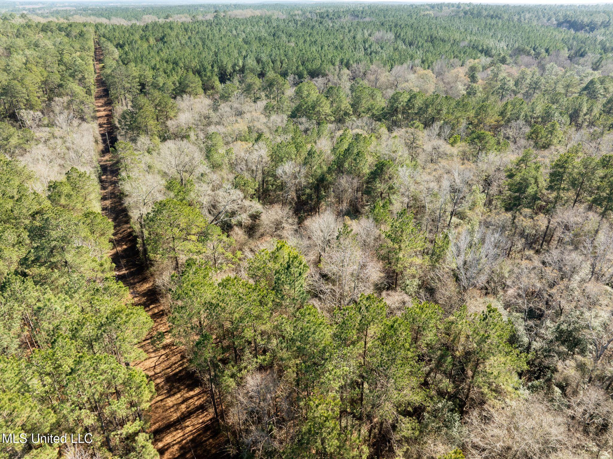 38 Indian Hill Road Richton, MS 39476 - Photo 10 of 25 38_Greene_IndianHillRd-10