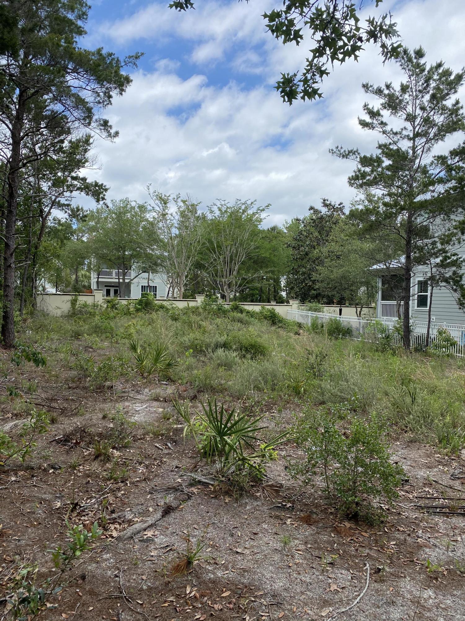 123 Grande Pointe Cir Inlet Beach Inlet Beach, FL 32461 - Photo 3 of 6
