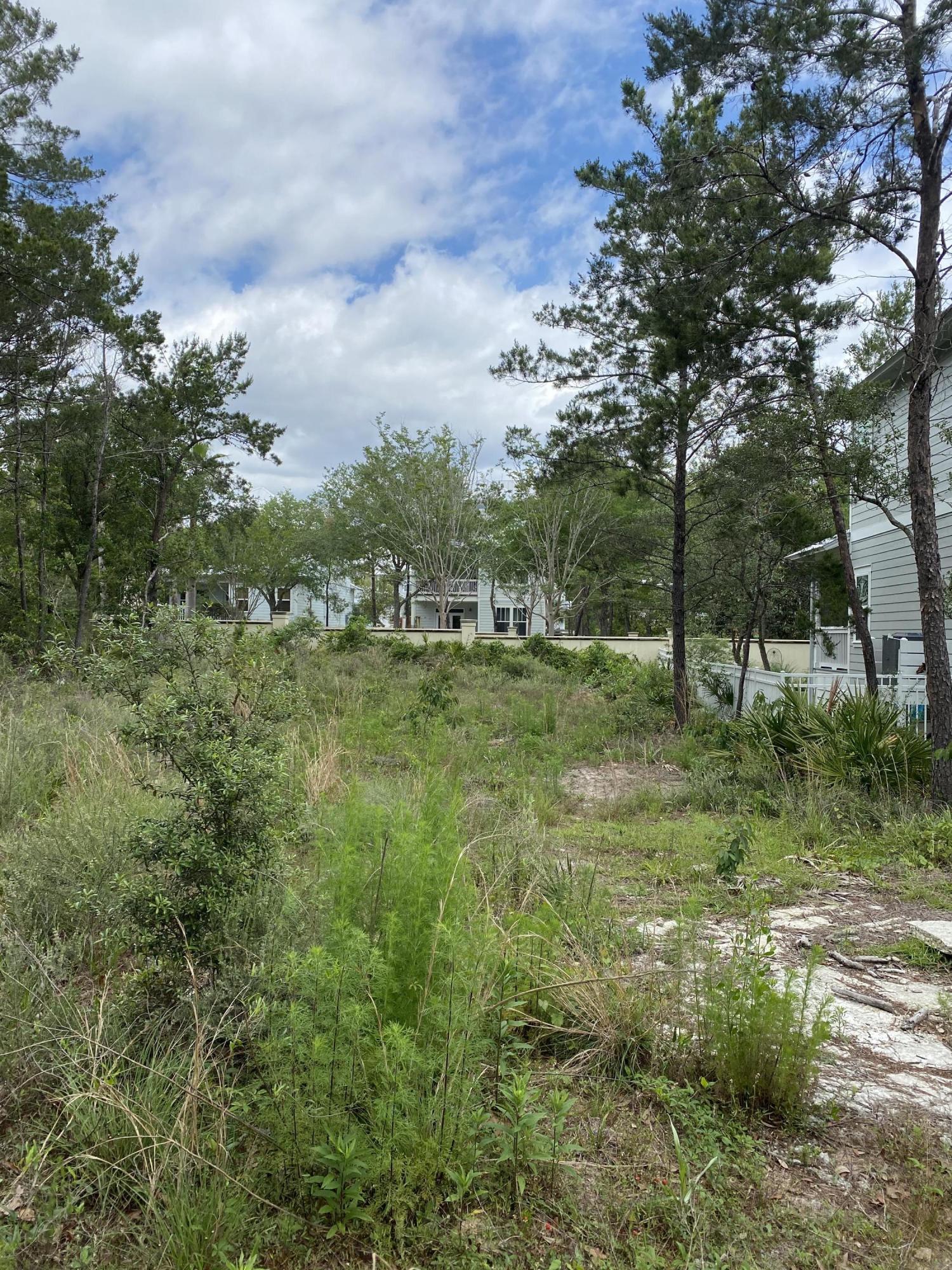 123 Grande Pointe Cir Inlet Beach Inlet Beach, FL 32461 - Photo 4 of 6