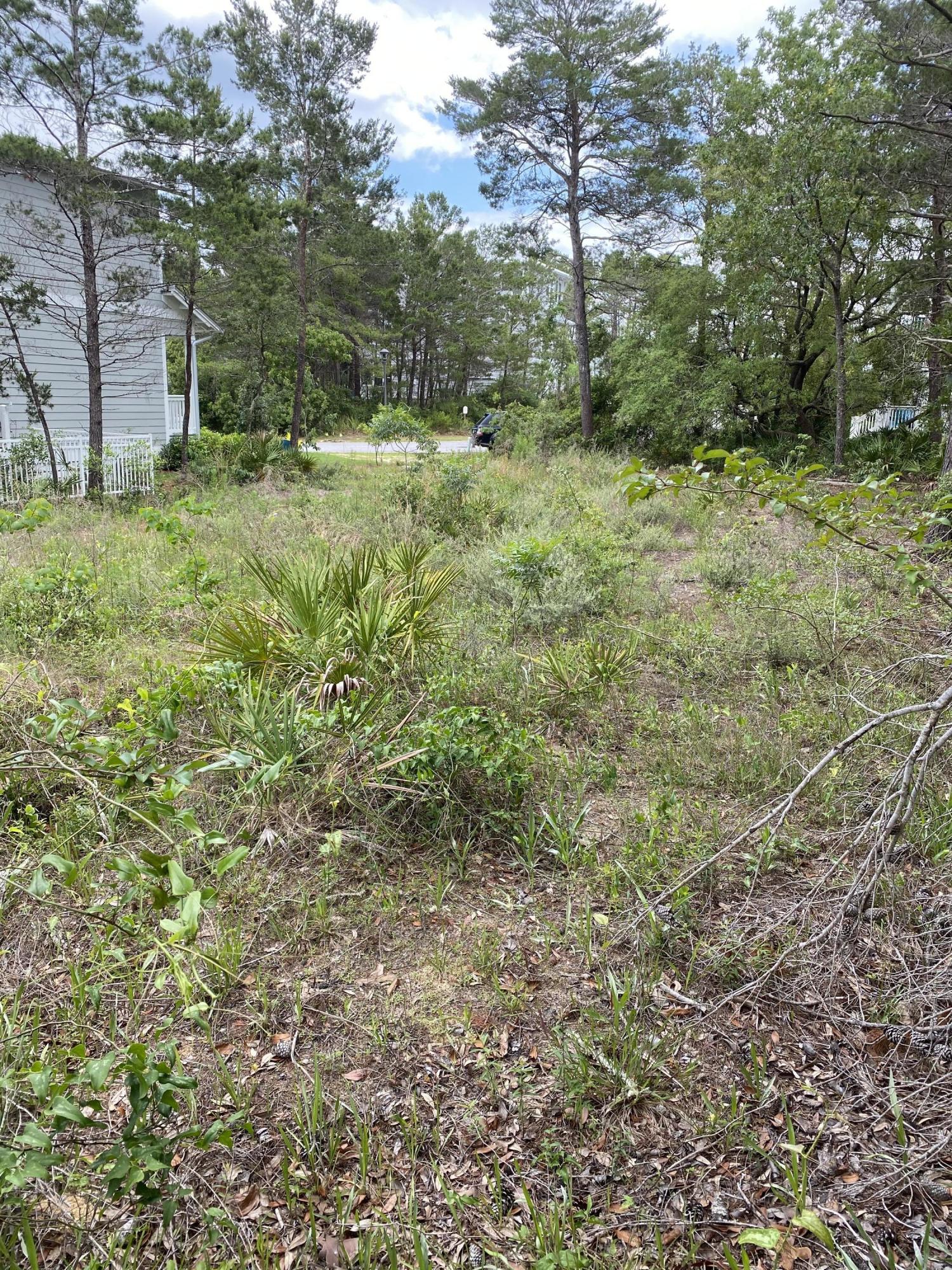 123 Grande Pointe Cir Inlet Beach Inlet Beach, FL 32461 - Photo 5 of 6
